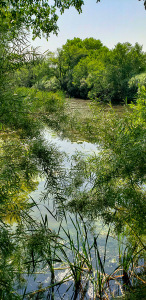 El Rancho de las Golondrinas, New Mexico